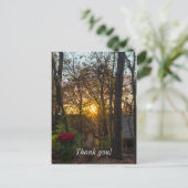 Carte Postale Sdc Woods Sunset (Debout devant)