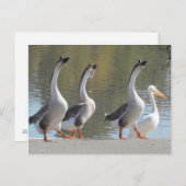 Carte postale - Se promener à Lakeside (Devant / Derrière)