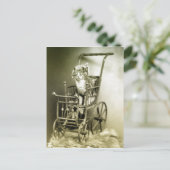 Carte Postale se promener avec kitty (Debout devant)