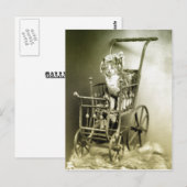 Carte Postale se promener avec kitty (Devant / Derrière)