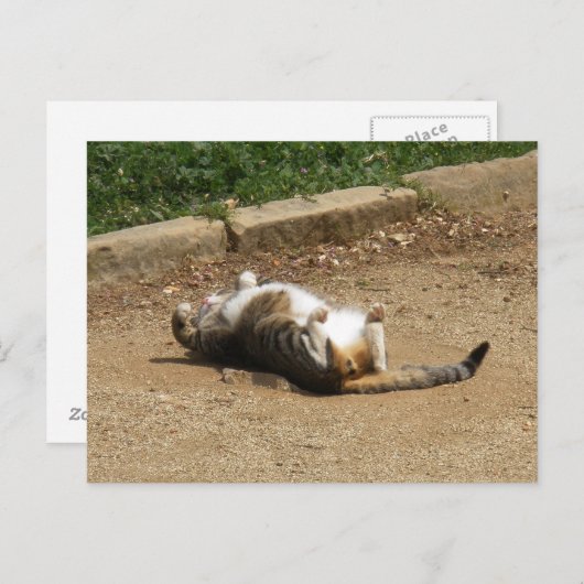 Carte Postale Se réveiller (Devant / Derrière)