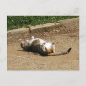 Carte Postale Se réveiller (Devant)