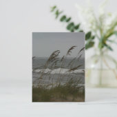 Carte Postale Sea Breeze (Debout devant)