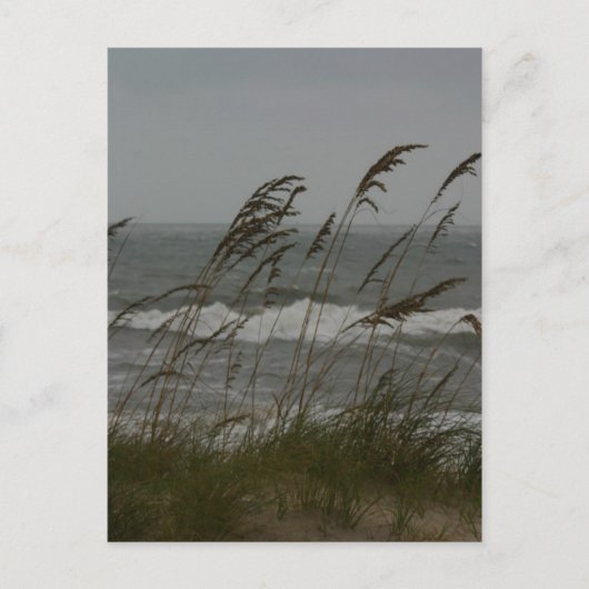 Carte Postale Sea Breeze (Devant)