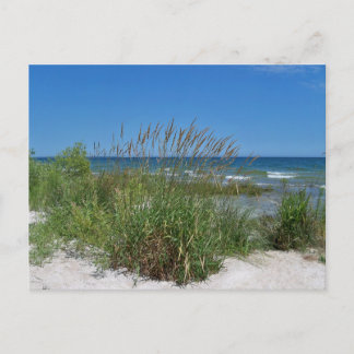 Carte Postale Sea Grass le long du bord de mer