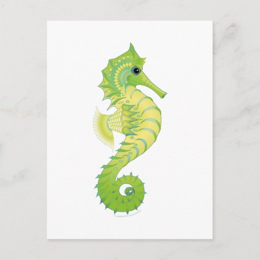 Carte Postale Sea Green Filly (Devant)