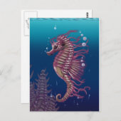 Carte postale Sea Horse (Devant / Derrière)