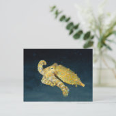 Carte Postale Sea Life - Octopus (Debout devant)