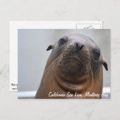 Carte postale Sea Lion (Devant / Derrière)