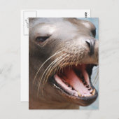Carte postale Sea Lion (Devant / Derrière)