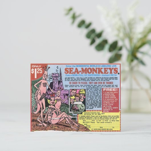 Carte postale Sea Monkeys (Debout devant)