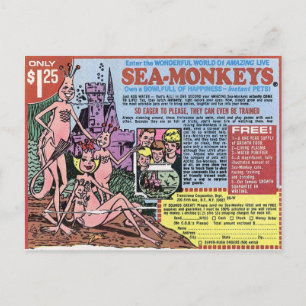 Carte postale Sea Monkeys