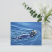Carte postale Sea Otter (Debout devant)