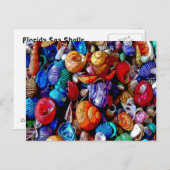 Carte Postale Sea Shells Abstrait 2009 (Devant / Derrière)