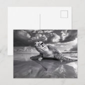 Carte Postale Sea Turtle Art noir et blanc (Devant / Derrière)