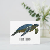 Carte Postale Sea turtle cartoon (Debout devant)