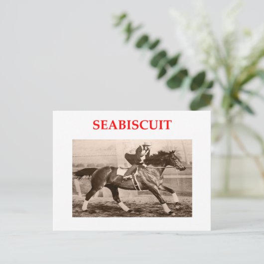 Carte Postale seabiscuit (Debout devant)