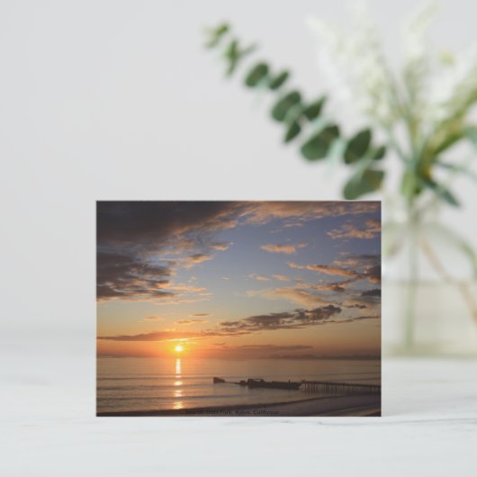 Carte Postale Seacliff State Park, Aptos... (Debout devant)