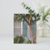 Carte Postale Seagreen Shutters (Debout devant)
