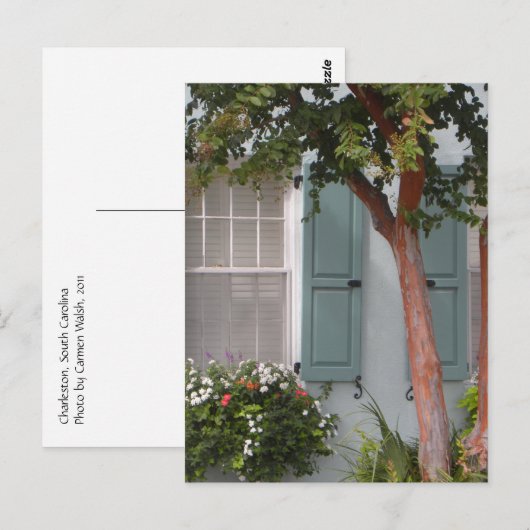 Carte Postale Seagreen Shutters (Devant / Derrière)