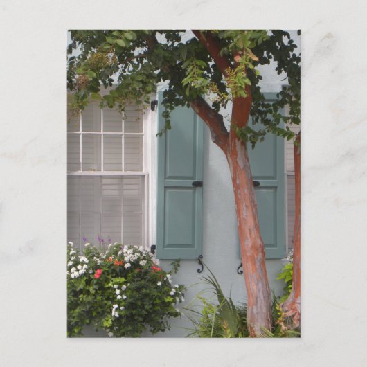 Carte Postale Seagreen Shutters (Devant)