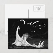 Carte postale Seagull (Devant / Derrière)