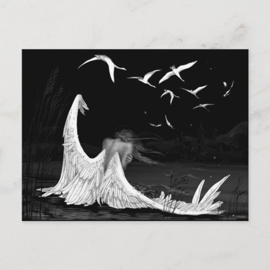 Carte postale Seagull (Devant)