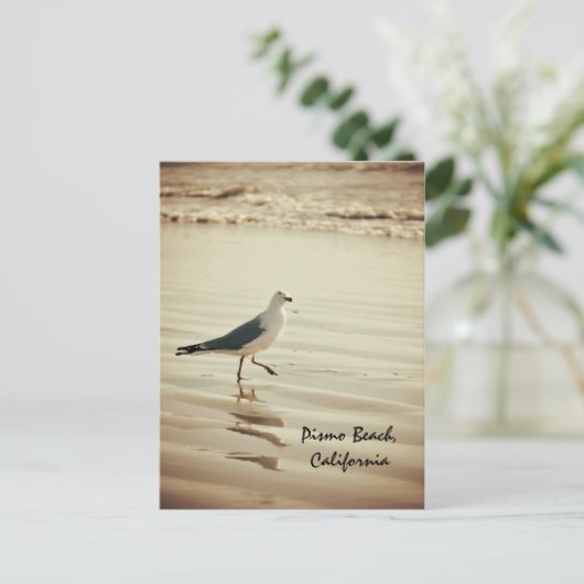 Carte Postale Seagull (Debout devant)