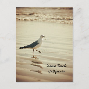 Carte Postale Seagull