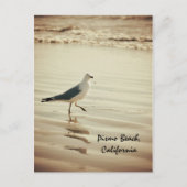 Carte Postale Seagull (Devant)