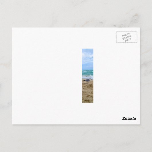 Carte postale Seagull (Dos)