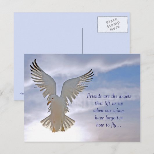 Carte postale Seagull (Devant / Derrière)