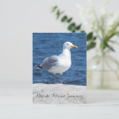 Carte postale Seagull (Debout devant)