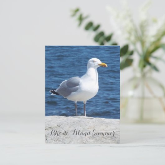 Carte postale Seagull (Debout devant)