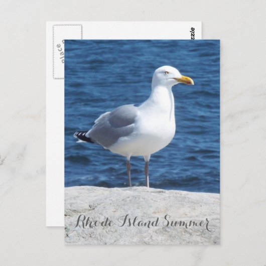 Carte postale Seagull (Devant / Derrière)