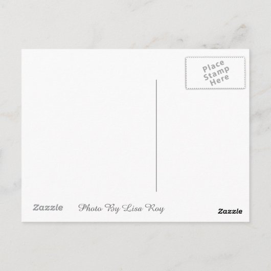 Carte postale Seagull (Dos)