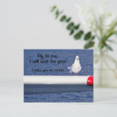 Carte postale Seagull (Debout devant)