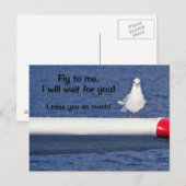 Carte postale Seagull (Devant / Derrière)