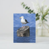 CARTE POSTALE SEAGULL (Debout devant)