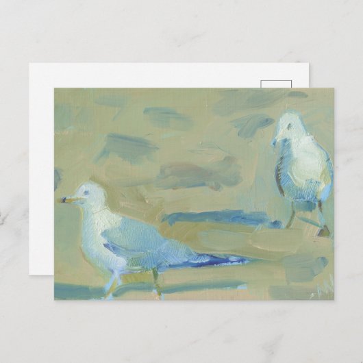 Carte Postale Seagull 1 (Devant / Derrière)