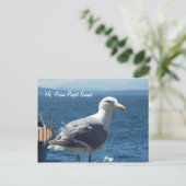 Carte postale : Seagull #1 (Debout devant)