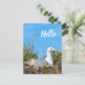 Carte Postale Seagull Bird Bonjour (Debout devant)