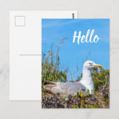 Carte Postale Seagull Bird Bonjour (Devant / Derrière)