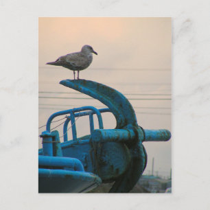 Carte Postale Seagull Repose Sur L'Ancre Du Navire Choshi