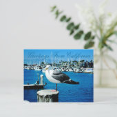 Carte postale Seagull Shores de Californie (Debout devant)