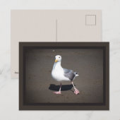 Carte postale Seagull Strut (Devant / Derrière)