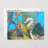 Carte Postale Seahorse (Devant / Derrière)