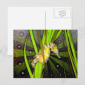 Carte postale Seahorse (Devant / Derrière)