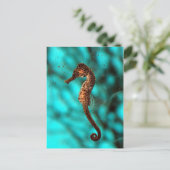 Carte postale Seahorse (Debout devant)