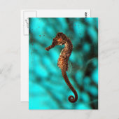 Carte postale Seahorse (Devant / Derrière)